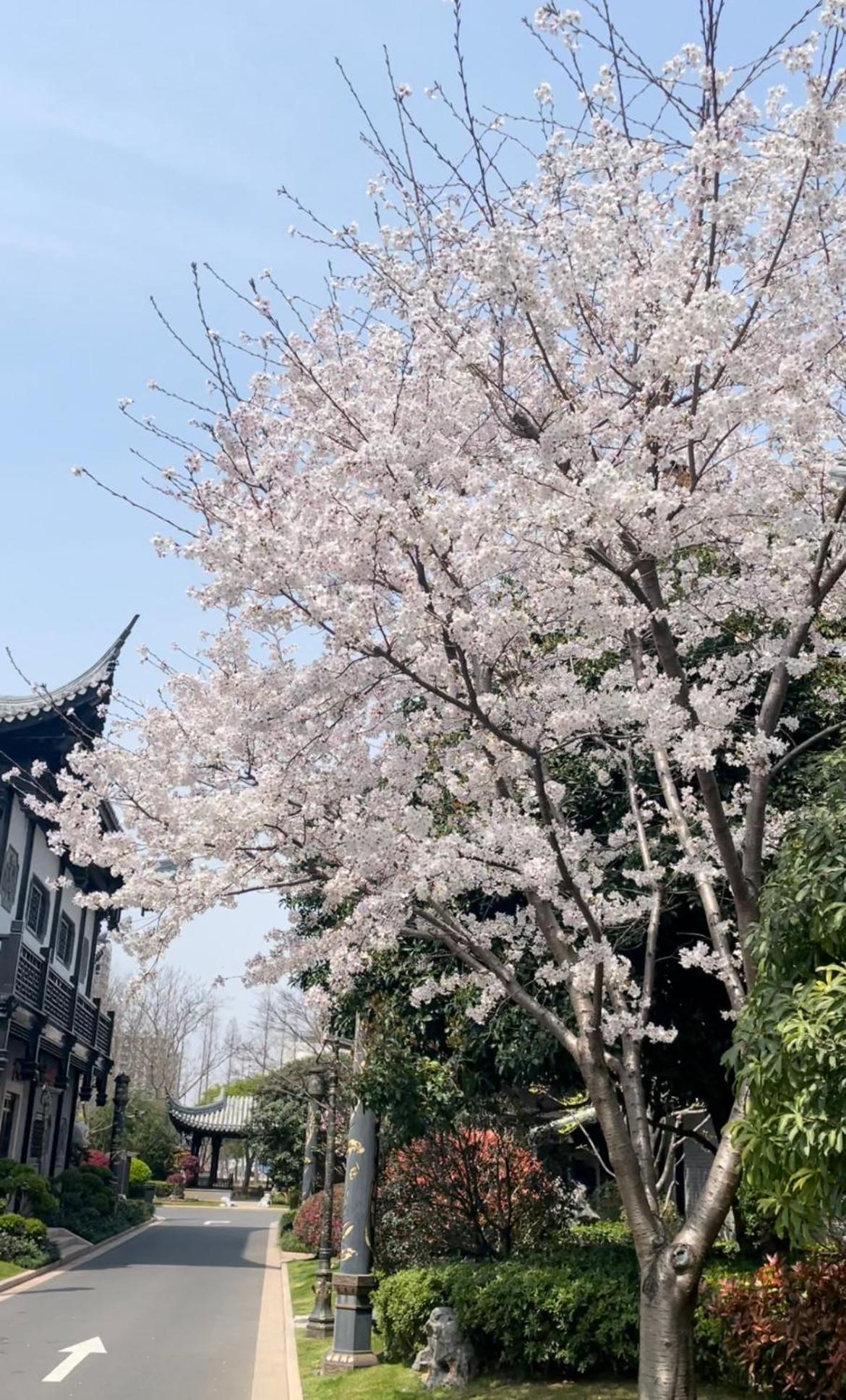 Royal Garden Hotel Shanghai-Free Shuttle To And From Disney & Pvg & Close Metro Line2 Easy To Sha New Expo Экстерьер фото